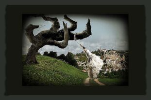 HOUSE OF RABBITS CHARIVARI IN VOYEURVILLE