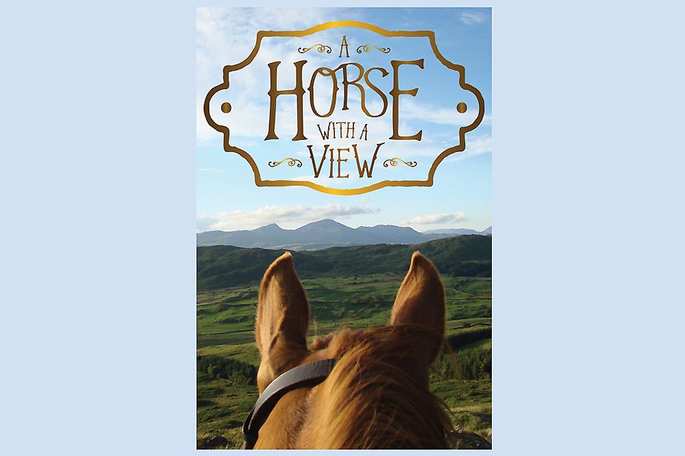 Horse With A View-1000
