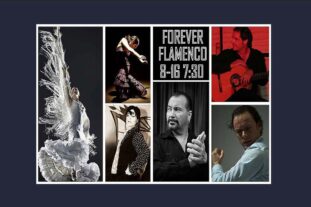 Forever Flamenco-1000